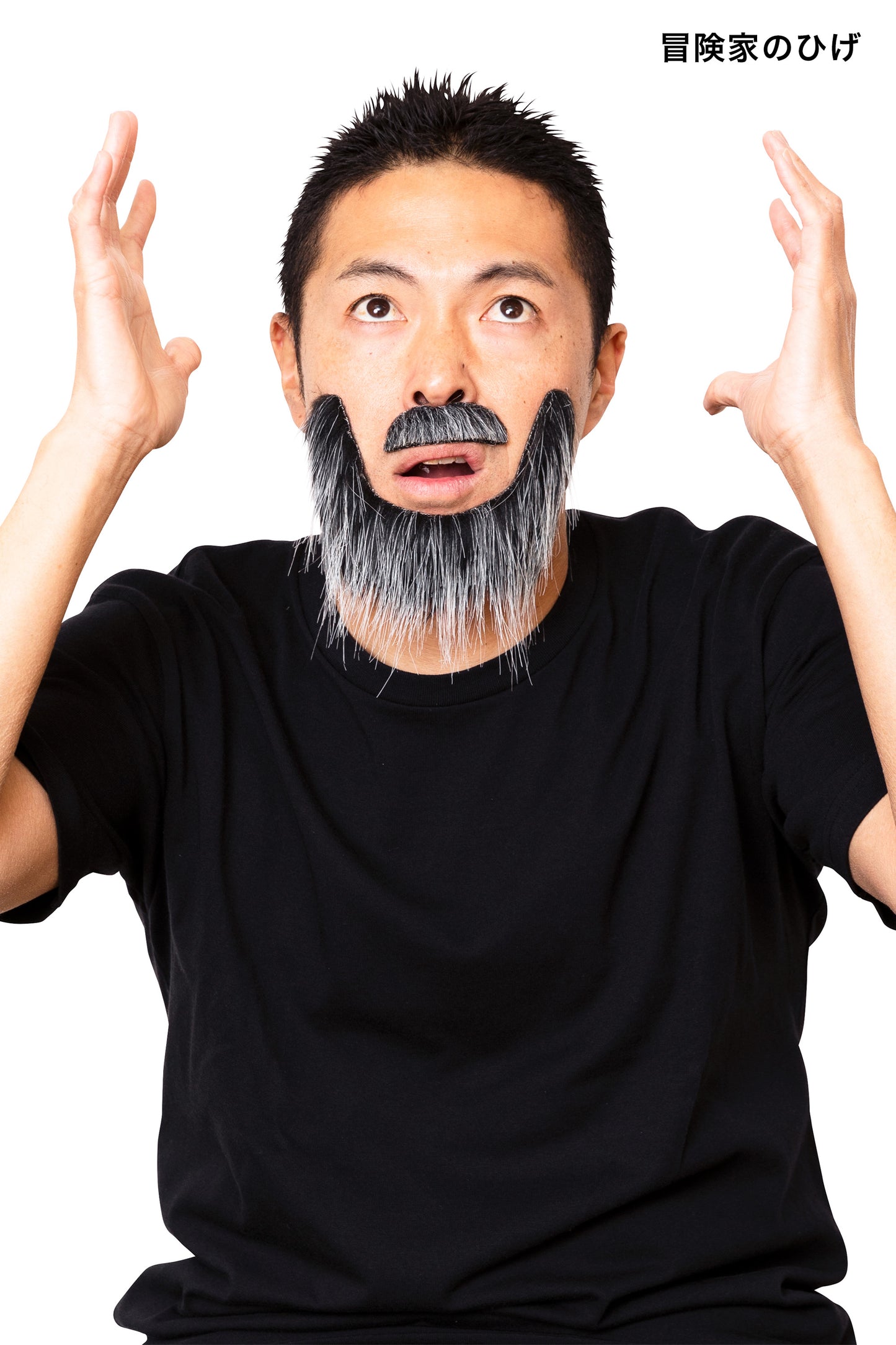 コスプレ小物 バラエティグッズ 宴会の達人 付けひげ 紳士/コメディアン/画家/文豪/藩主/皇帝/科学者/冒険家 ユニセックス フリーサイズ ブラック/ホワイト【クリアストーン】