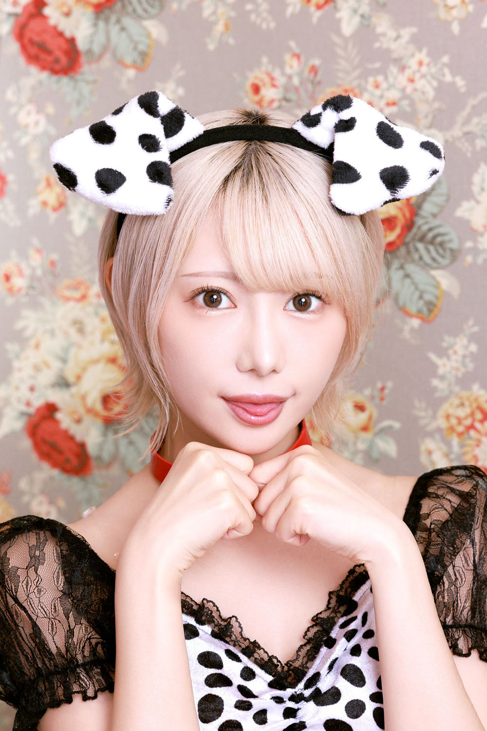 コスプレ 小物 ドッグカチューシャ いぬ アニマル 動物 仮装 フリーサイズ ブラウン/ブラック&ホワイト【クリアストーン】