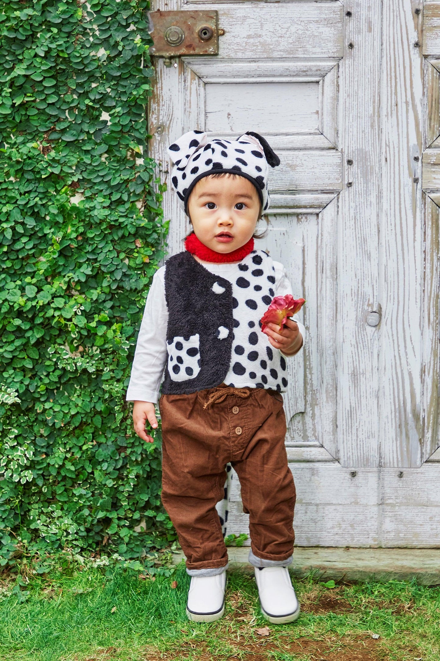 コスプレ ハロウィン ダルメシアン いぬ 犬 ベレー帽 ハニーテイル ベビー 80cm ブラック 【クリアストーン】 - clearstone(クリアストーン)公式オンラインストア