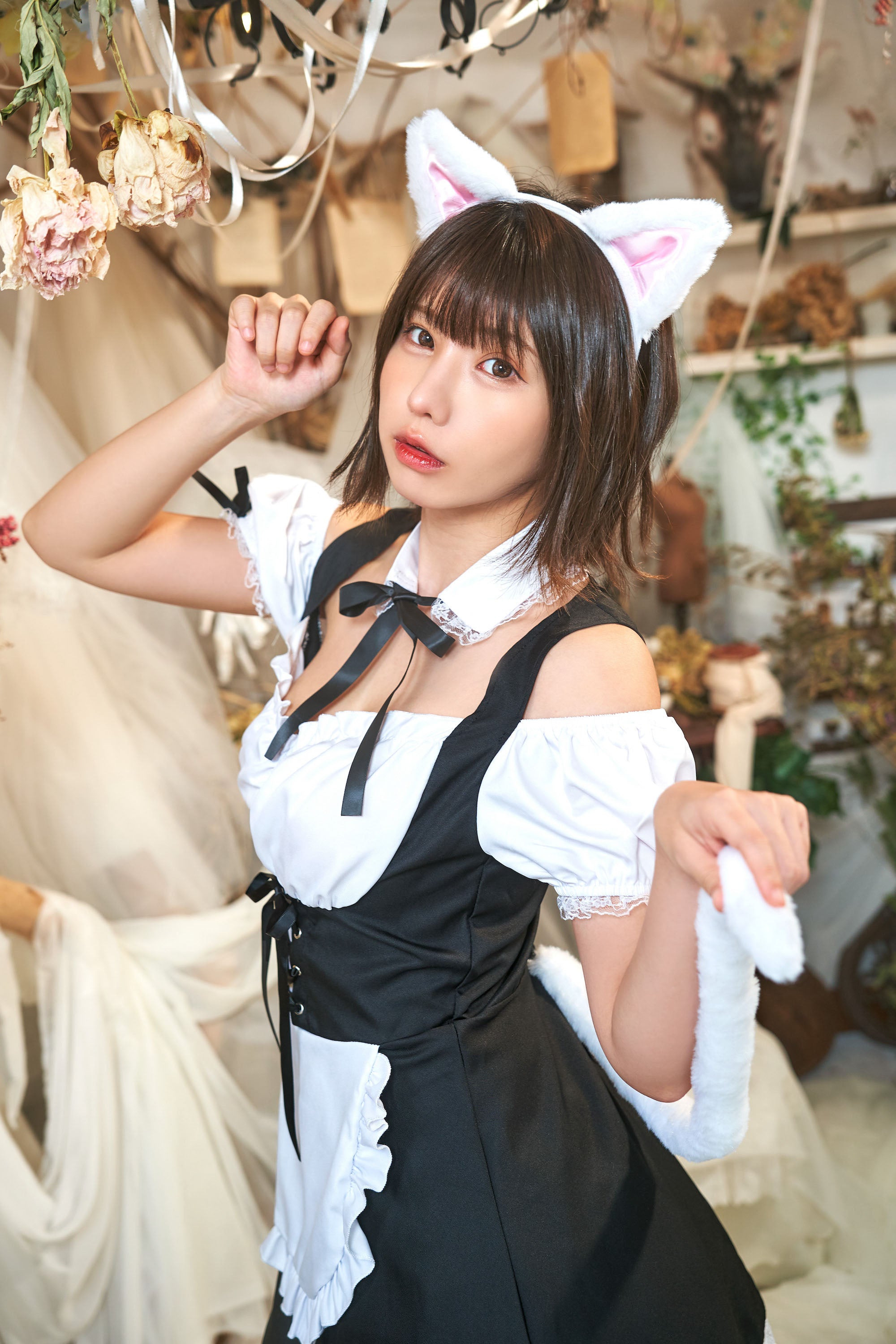 《えなこちゃん着用》 コスプレ 小物 けもみみしっぽセット ねこ 猫耳 アニマル 動物 仮装 フリーサイズ ホワイト/ブラック【クリアストーン】