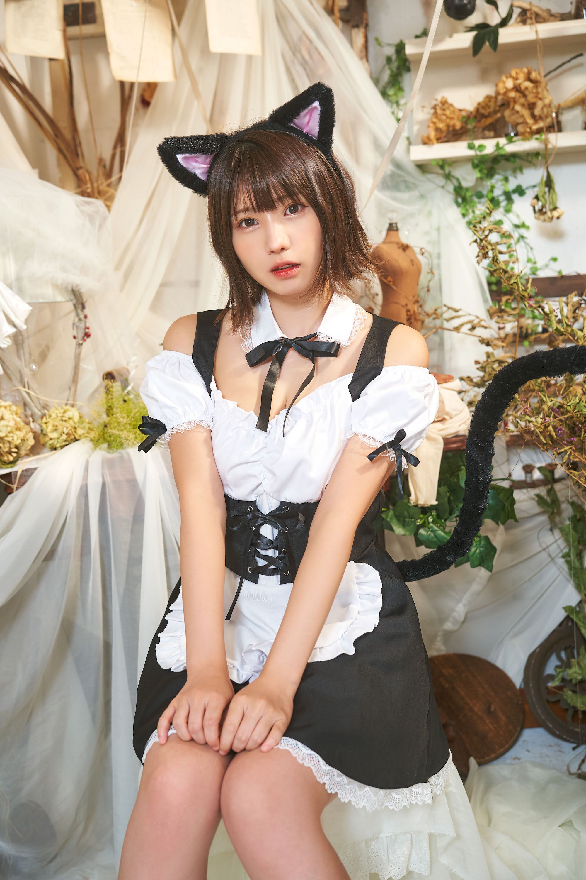 《えなこちゃん着用》 コスプレ 小物 けもみみしっぽセット ねこ 猫耳 アニマル 動物 仮装 フリーサイズ ホワイト/ブラック【クリアストーン】