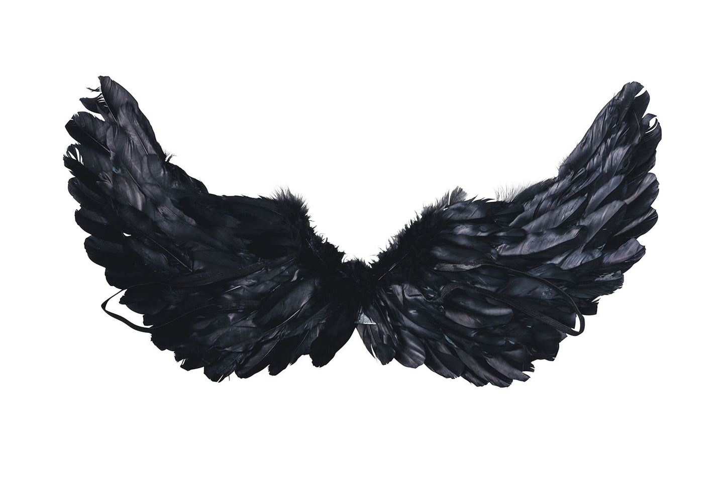 [New] コスプレ小物 天使 羽 エンジェルウィング キッズ ホワイト/ブラック【クリアストーン】